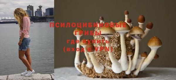 не бодяженный Абаза
