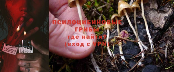 прущие крисы Абинск
